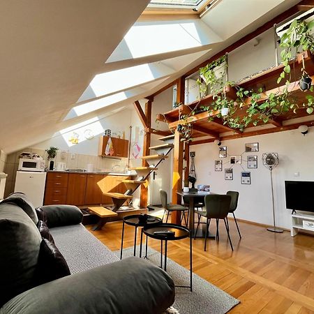Captain Misha'S Place ベオグラード エクステリア 写真